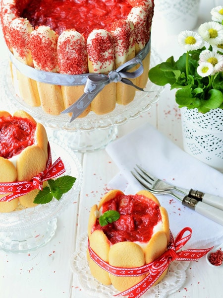 Rhabarber-Charlotte von Sugar meets Chili