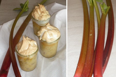 Rhabarber-Joghurt-Kuchen von Essen ohne Grenzen