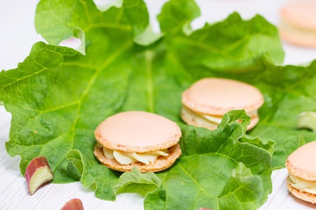 Rhabarber-Macarons von Verzuckert