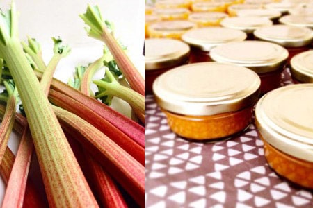 Vegane Karotten-Rhabarber-Marmelade von Food Freshion