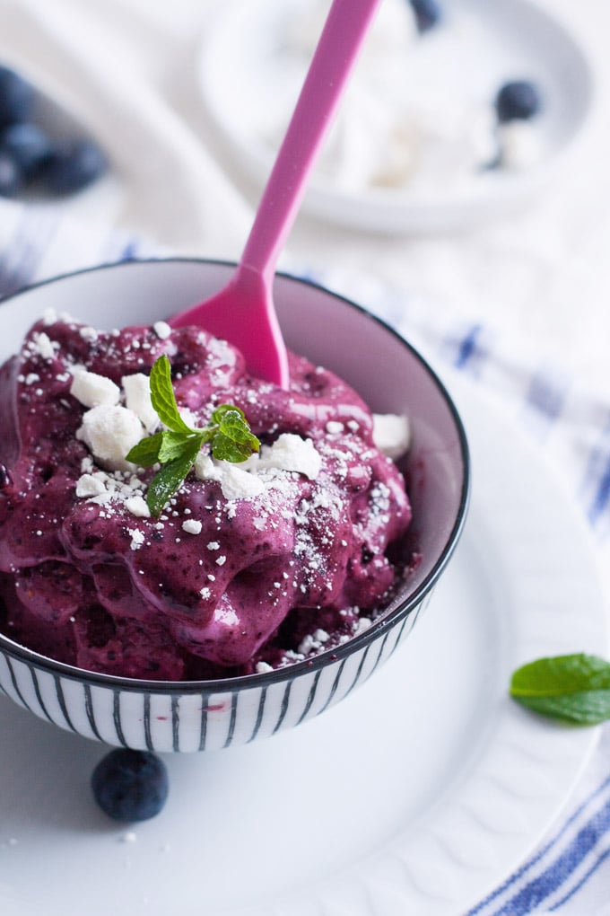 Blaubeer-Frozen-Yogurt-Rezept9