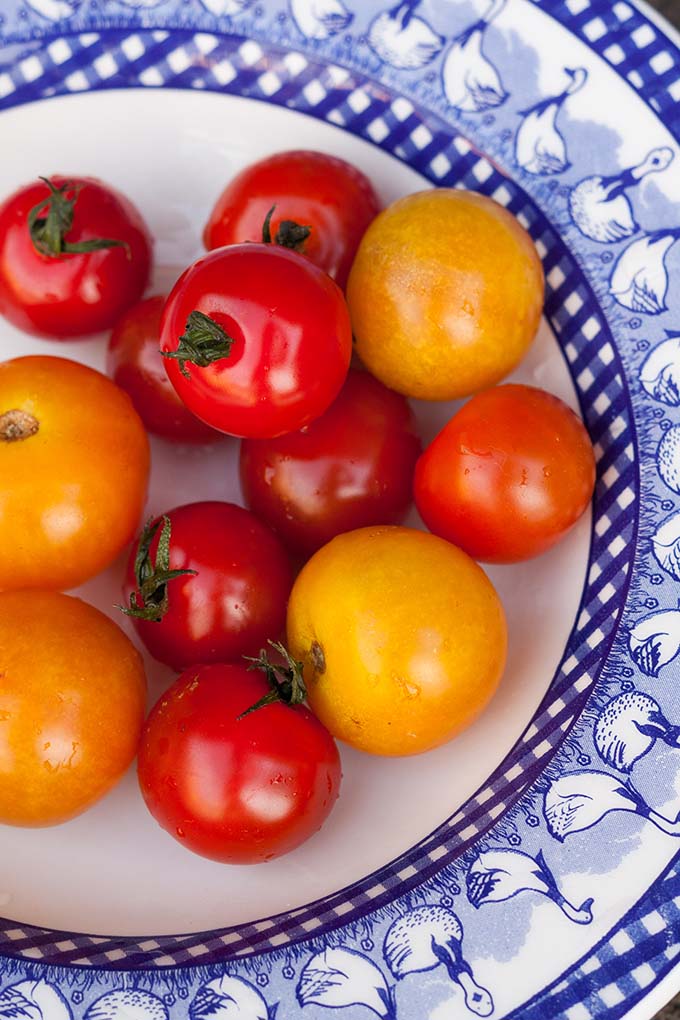 Sommerliches Gemüse-Sandwich mit gegrillter Zucchini und Feta. Dieses 6-Zutaten Rezept ist schnell, einfach und verdammt lecker. Unbedingt probieren - kochkarussell.com