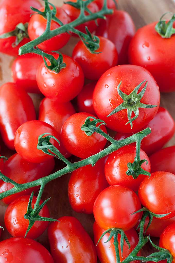 Der sommerliche Brotsalat mit gerösteten Tomaten und Mozzarella ist die perfekte Mischung aus knusprig, würzig und cremig. Schnell, einfach und unglaublich gut - kochkarussell.com