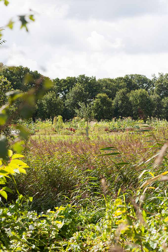 Werbung. Gerösteter Kürbis mit Parmesan-Knusperkruste. Für dieses schnelle und feierabendtaugliche Rezept braucht ihr nur eine Handvoll Zutaten. Herzhaft, würzig und verdammt gut - kochkarussell.com
