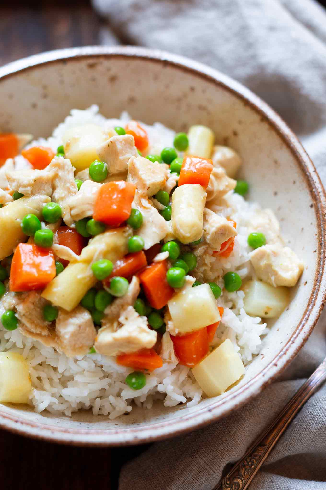 Hühnerfrikassee fertig gekocht und mit Reis angerichtet in einer Schüssel.