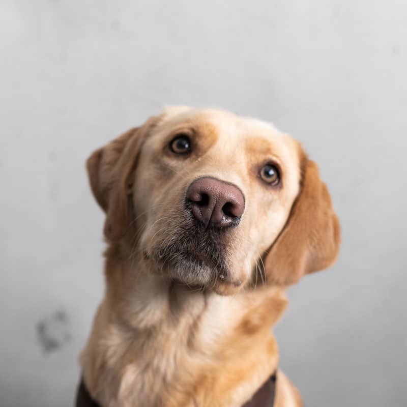 Team Kochkarussell: Lotti